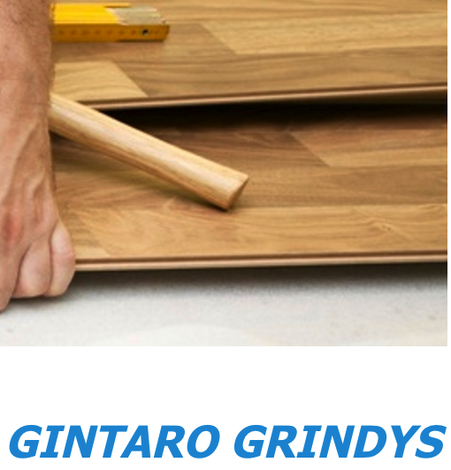 Gintaro Grindys